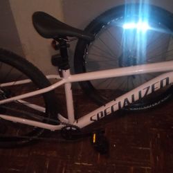 Specialized Rock Hopper Mountain Bike