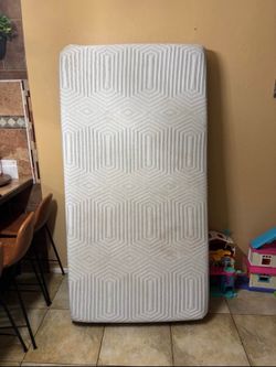 Twin mattress needing gone ASAP
