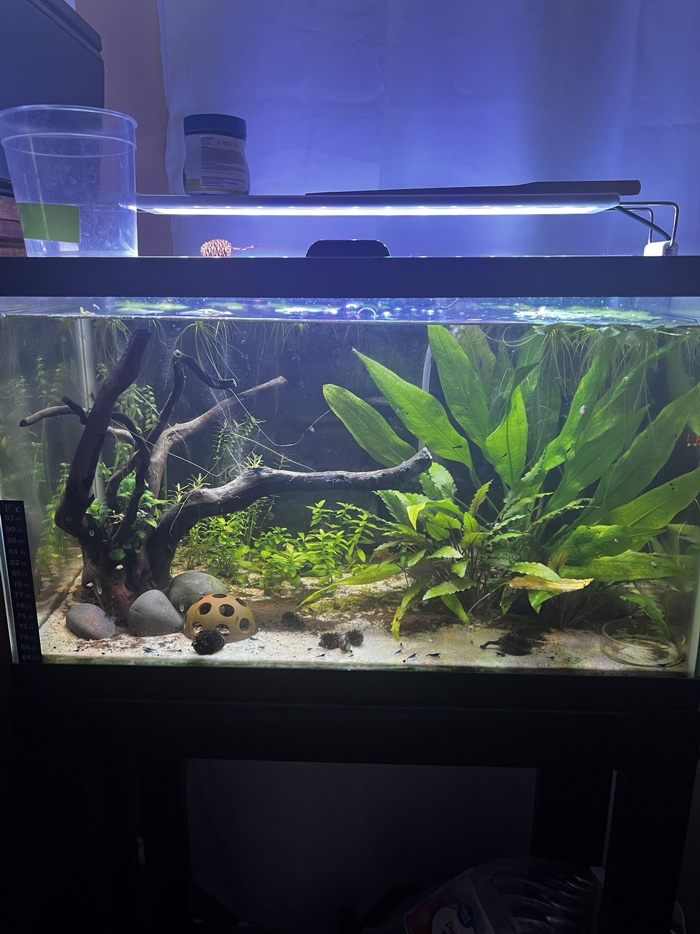10 gallon fish tank with stand