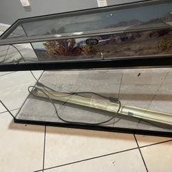 Glass Terrarium With No Light Fixture 