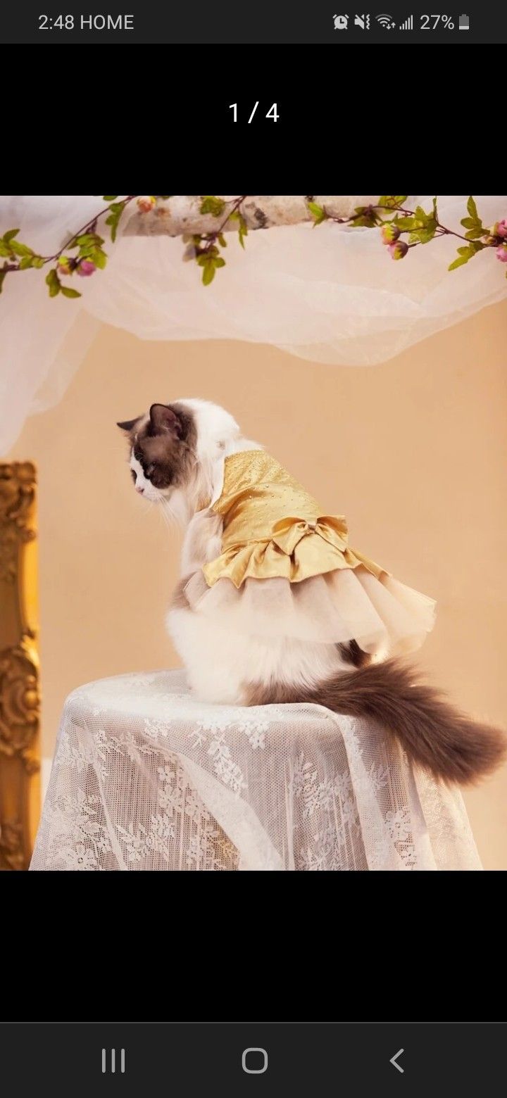 Pet Dress 🤗
