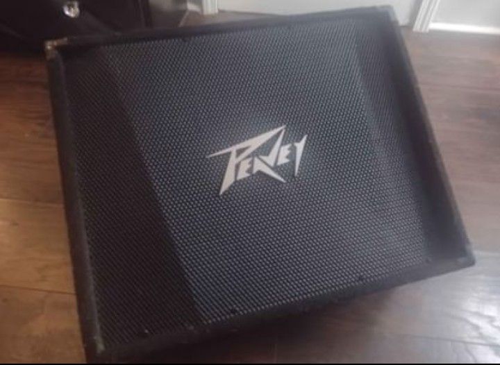 Peavey PV Floor Monitor