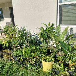 Selling Most Of My Inventory!