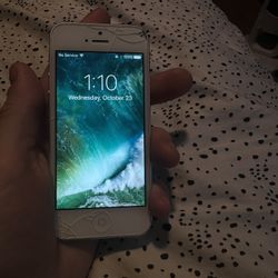 iPhone 5 