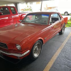 Foord Mustang 