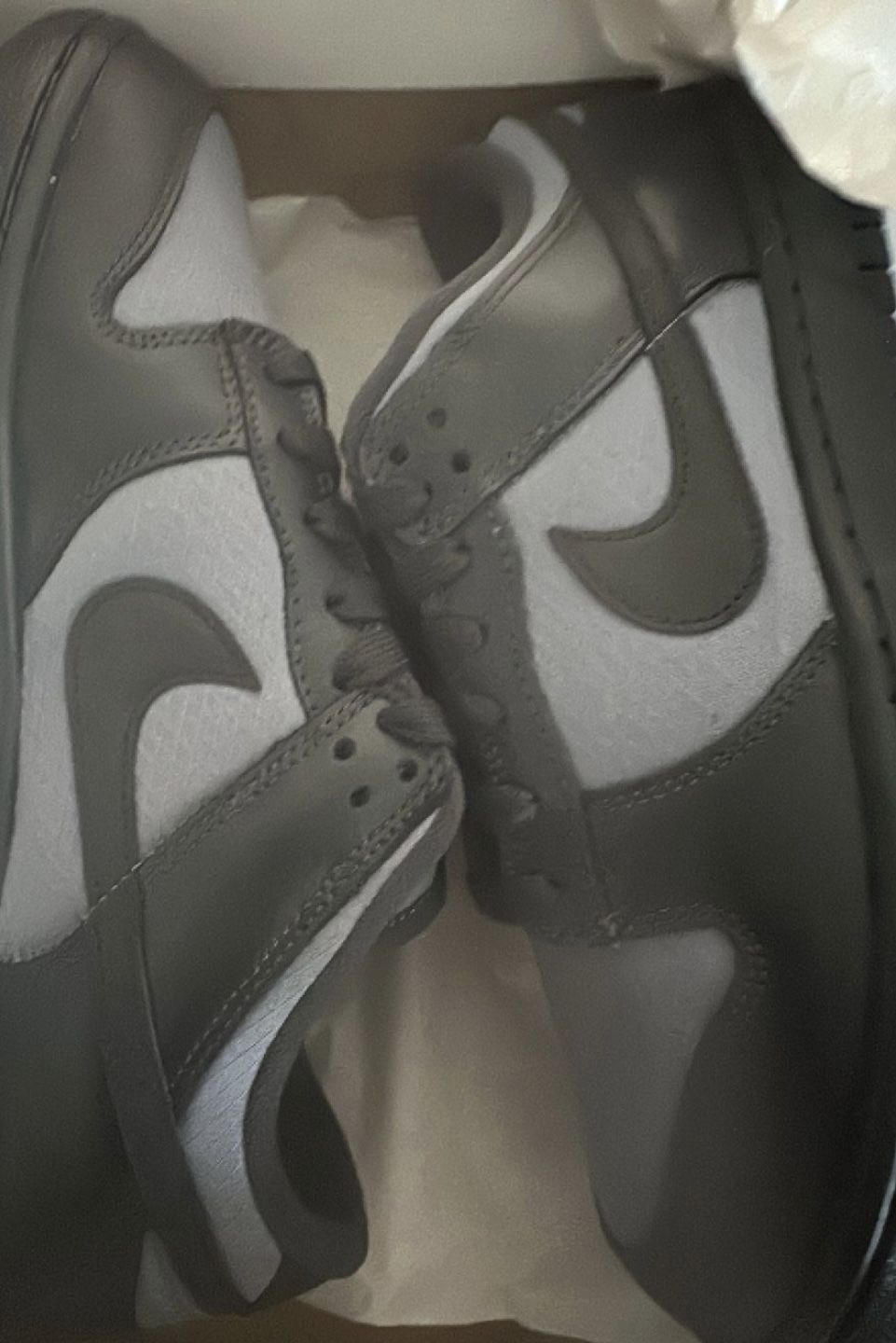 Brand New Nike Dunk Low SE New Size 9.5