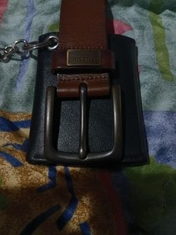 Fossil belt