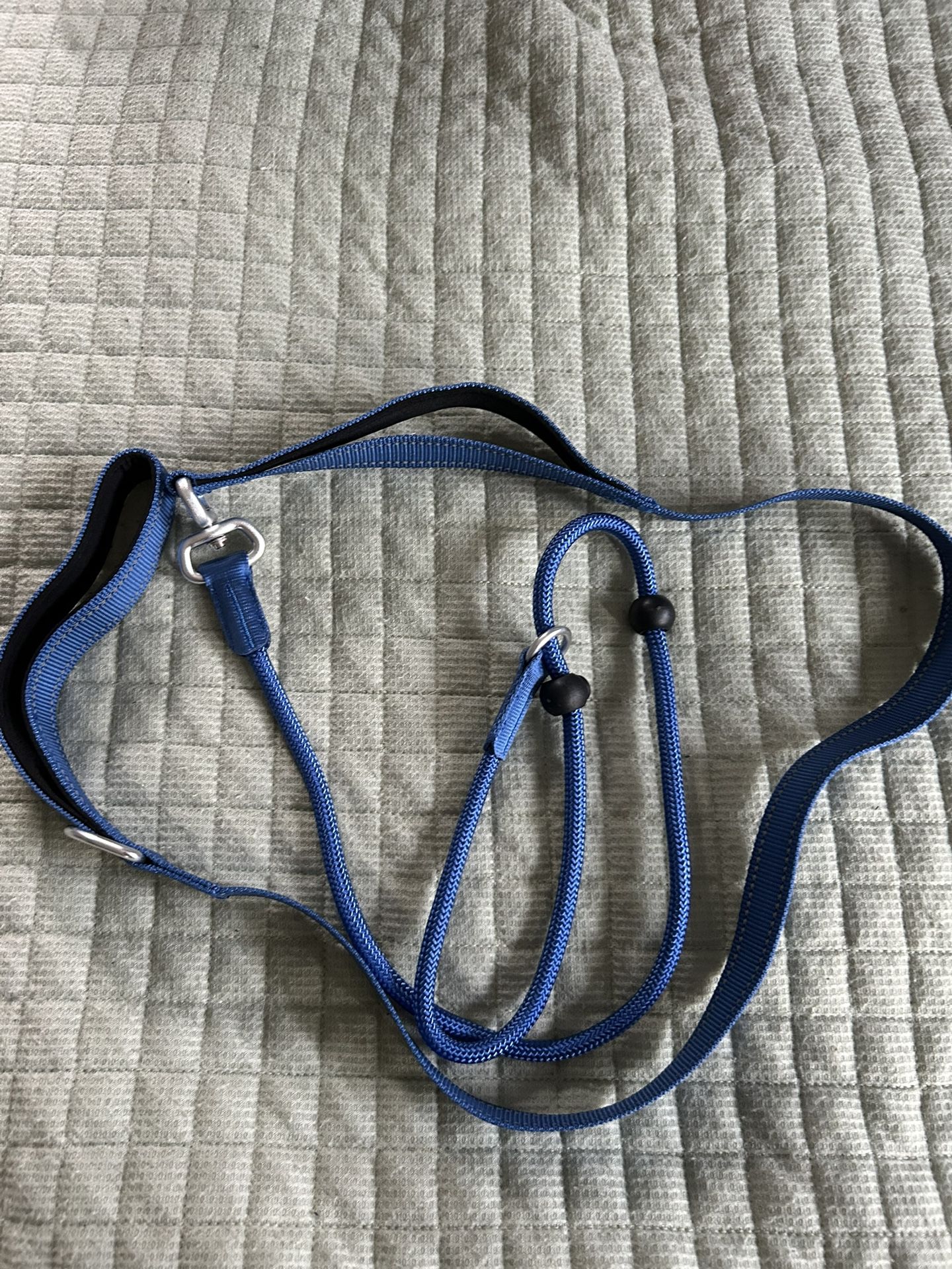 Brand New Dog Training Leash