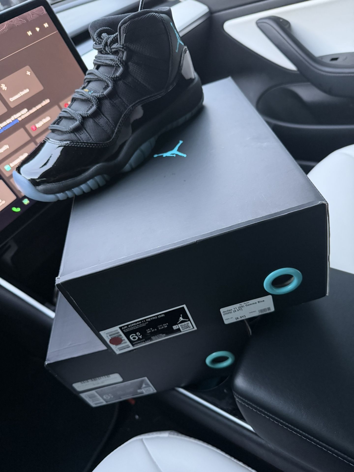 Gamma (2025) Size 6.5y