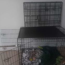 Dog Cage