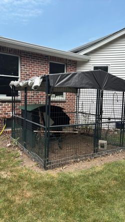 Chicken Coop