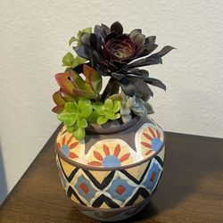 Succulent Arrangement 