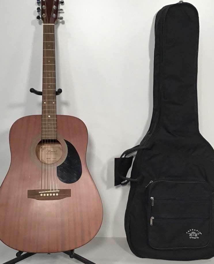 Ventura Acoustic w/ Softshell Terrapin Case