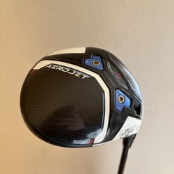 Cobra AeroJet driver paired with a Mitsubishi Chemical Kai’li Blue 60R shaft