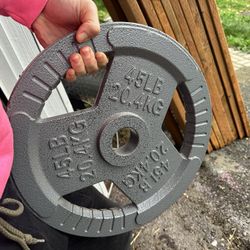 45lb Olympic plate - 4 Available