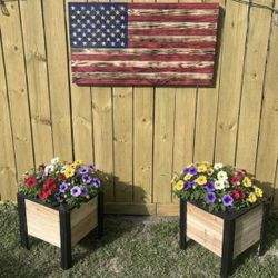 Cedar Planter Box Pair (black trim)