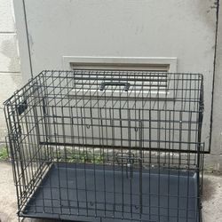 Dog Cage 
