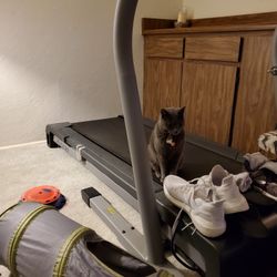 Treadmill Nordic Track 