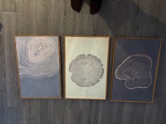 Framed canvas wall art