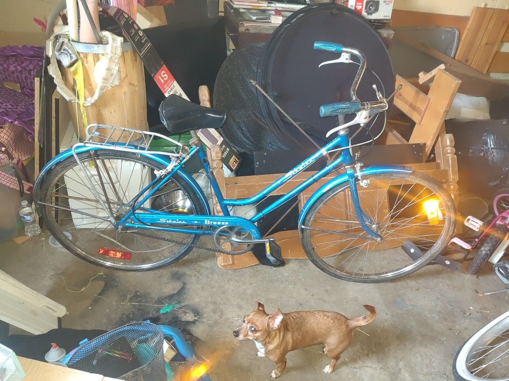 70's Era Schwinn Metallic Blue Cruiser Bicycle CO Springs For Pickup 