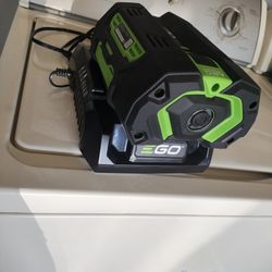 EGO Battery New 