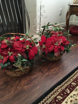 2 large Christmas plants-new condition