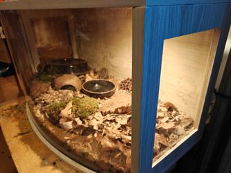 Snake enclosure