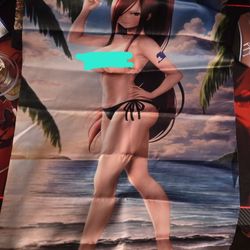 Erza Scarlet Fairy Tail Anime Tapestry Poster