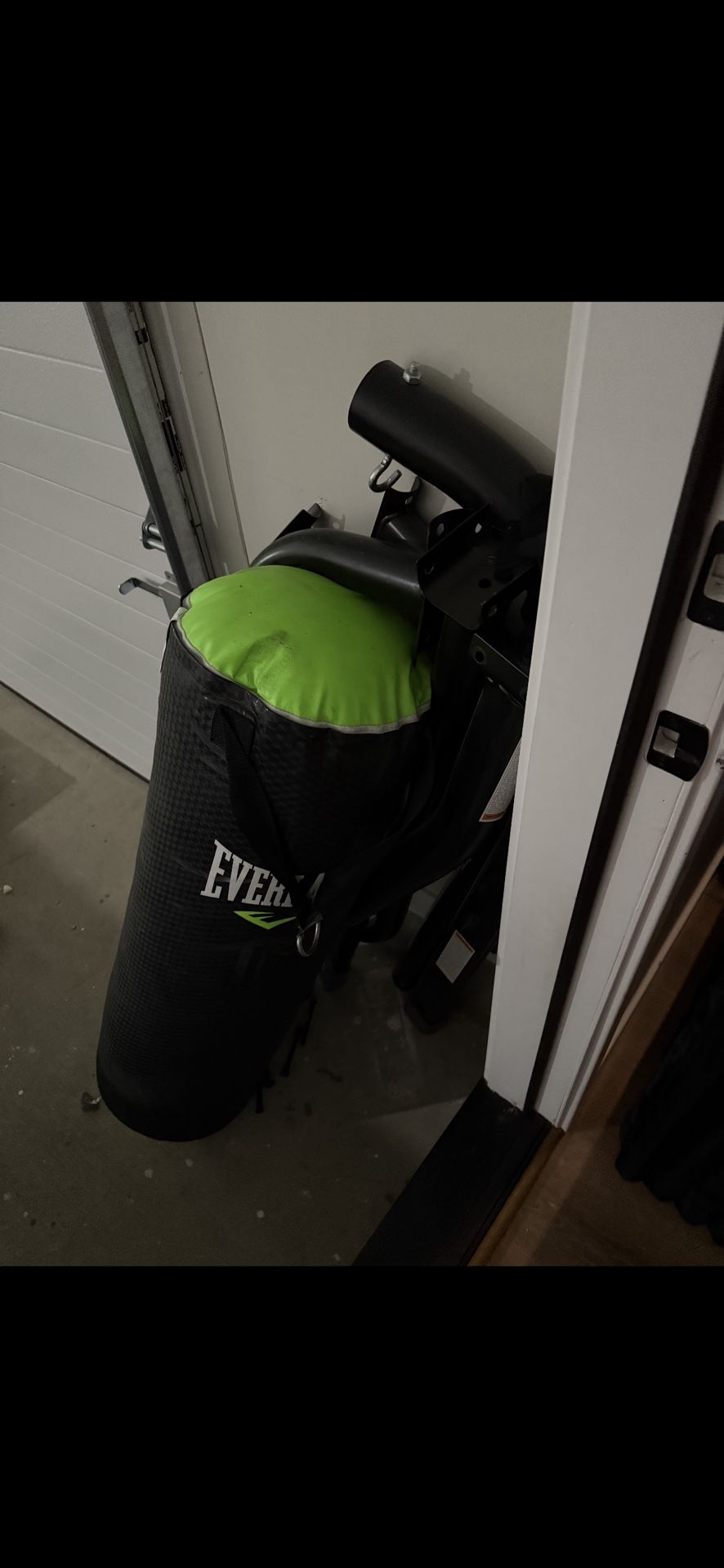 Everlast Punching bag