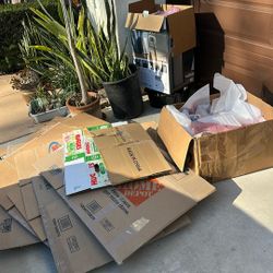 free moving boxes in 4s ranch 