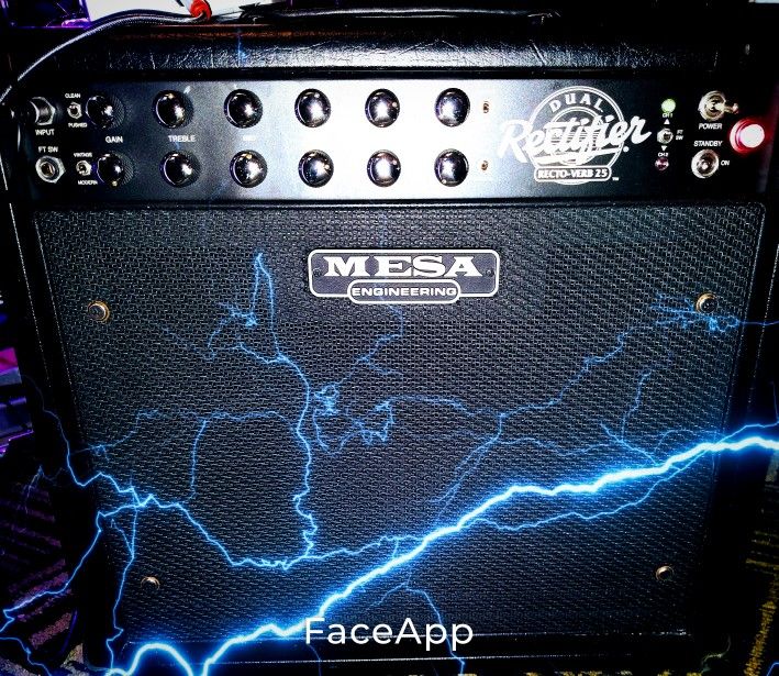 Mesa Dual Rectifier ,Recto Verb 25
