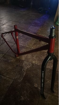 29er frame