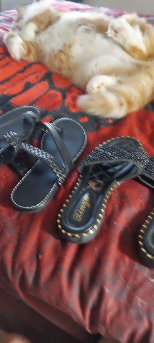 3 Pair Of Shoes All Worn Only Once - Size 7