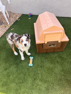 INSULATED DOG HOUSE - ASL DP Hunter - Like new