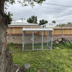 Dog House
