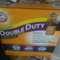 Cat Letter It For 30 