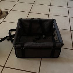 Doggy Crar Seat