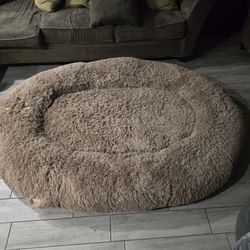 Human Size Dog Bed 