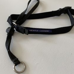 Dog Lead
