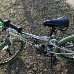 Schwinn Kid  Bike