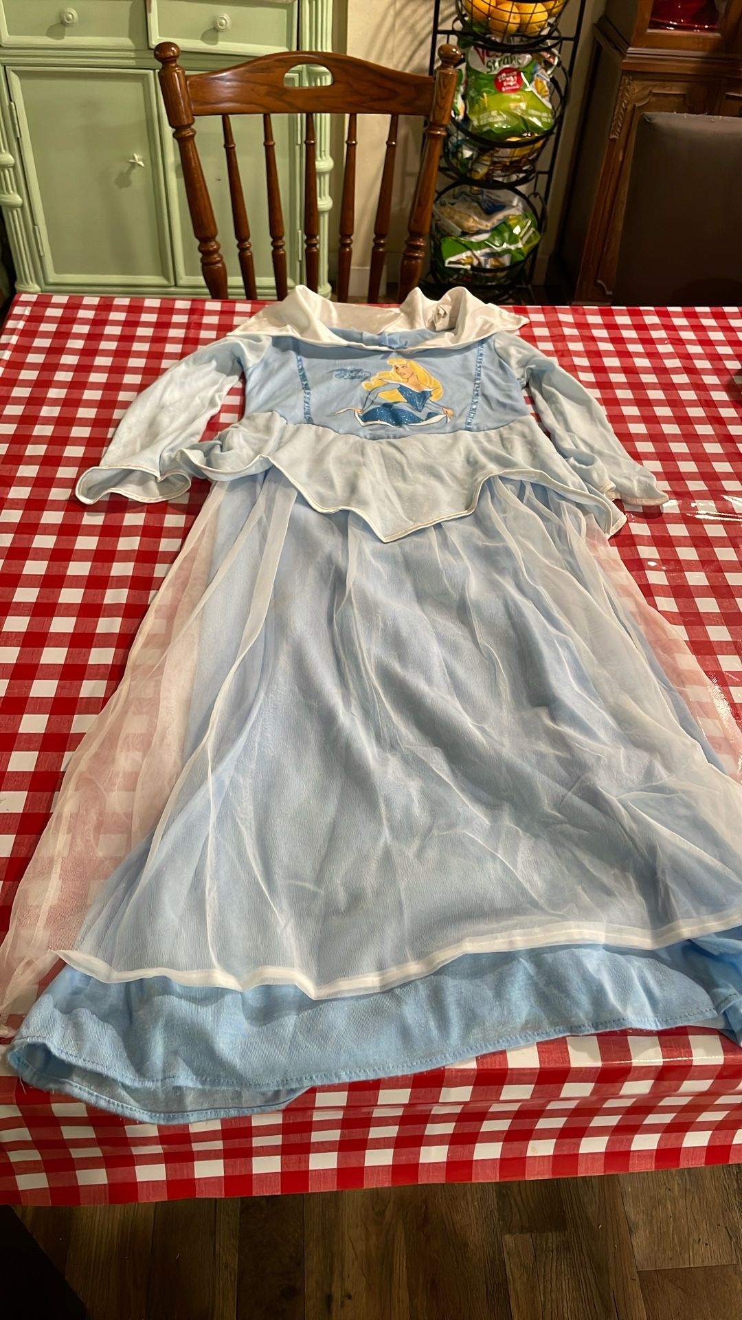 Sleeping Beauty Costume