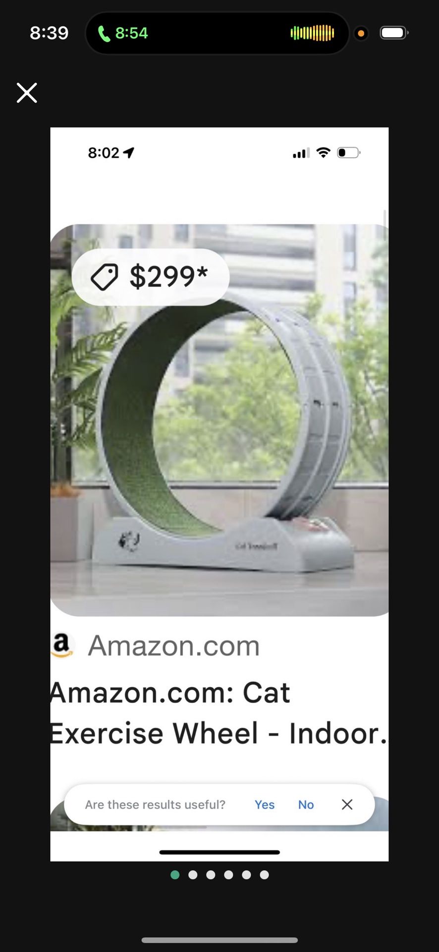 LOW PRICE MOVING- $300 + TAX/SHIPPING NEW CAT EXERCISE WHEEL