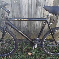 Cannondale 3.0 Aluminum Bike 1989