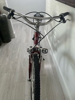 Female  Bicycles
