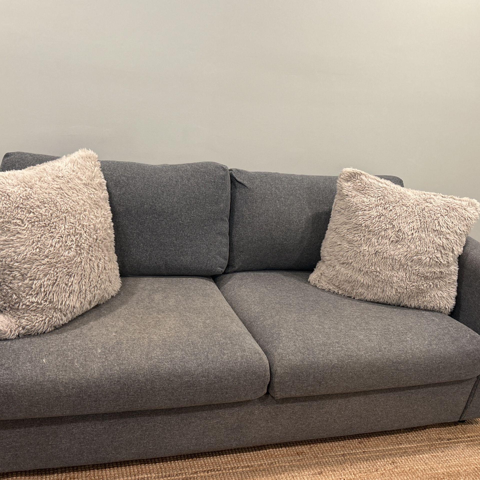 Sleeper sofa For Sale