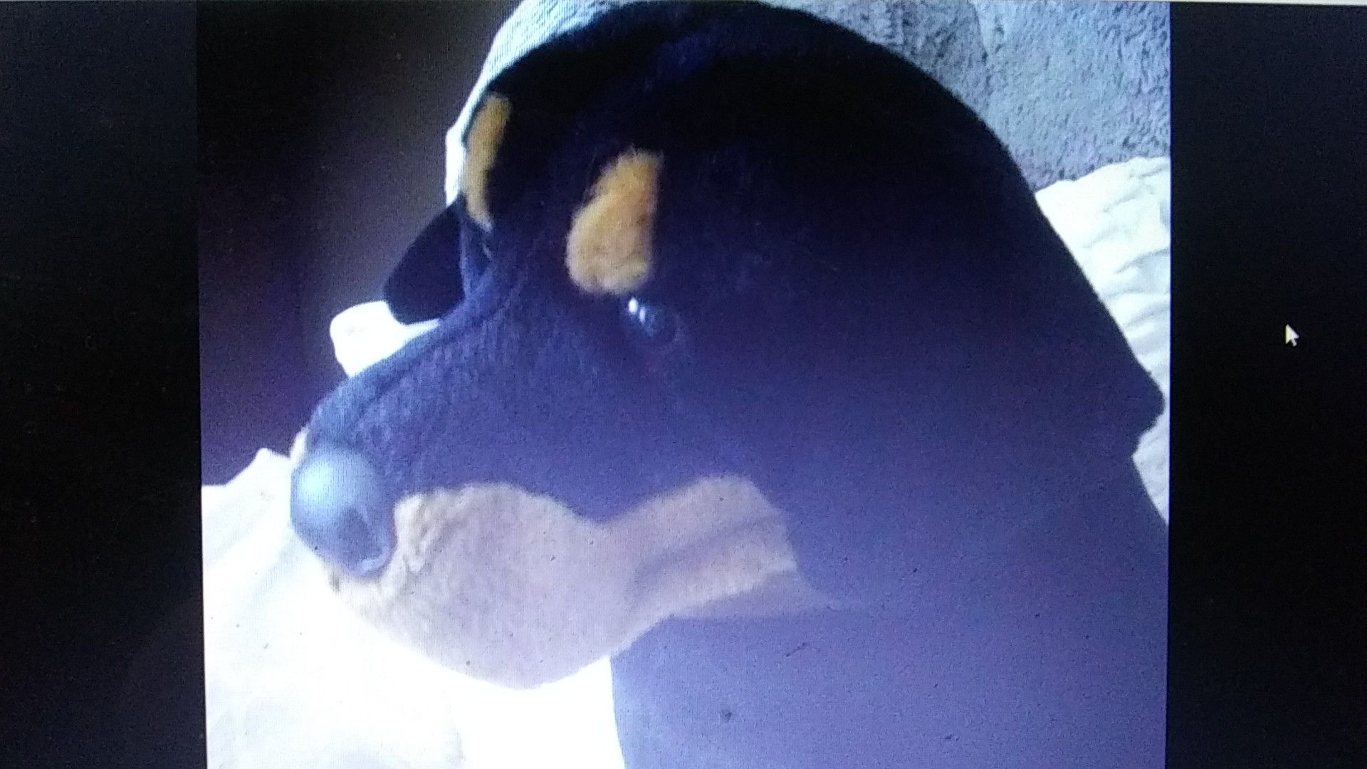 Big realistic Rottweiler Stuffed Toy