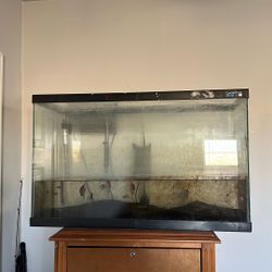 39 Gallon Fish Tank With Filte