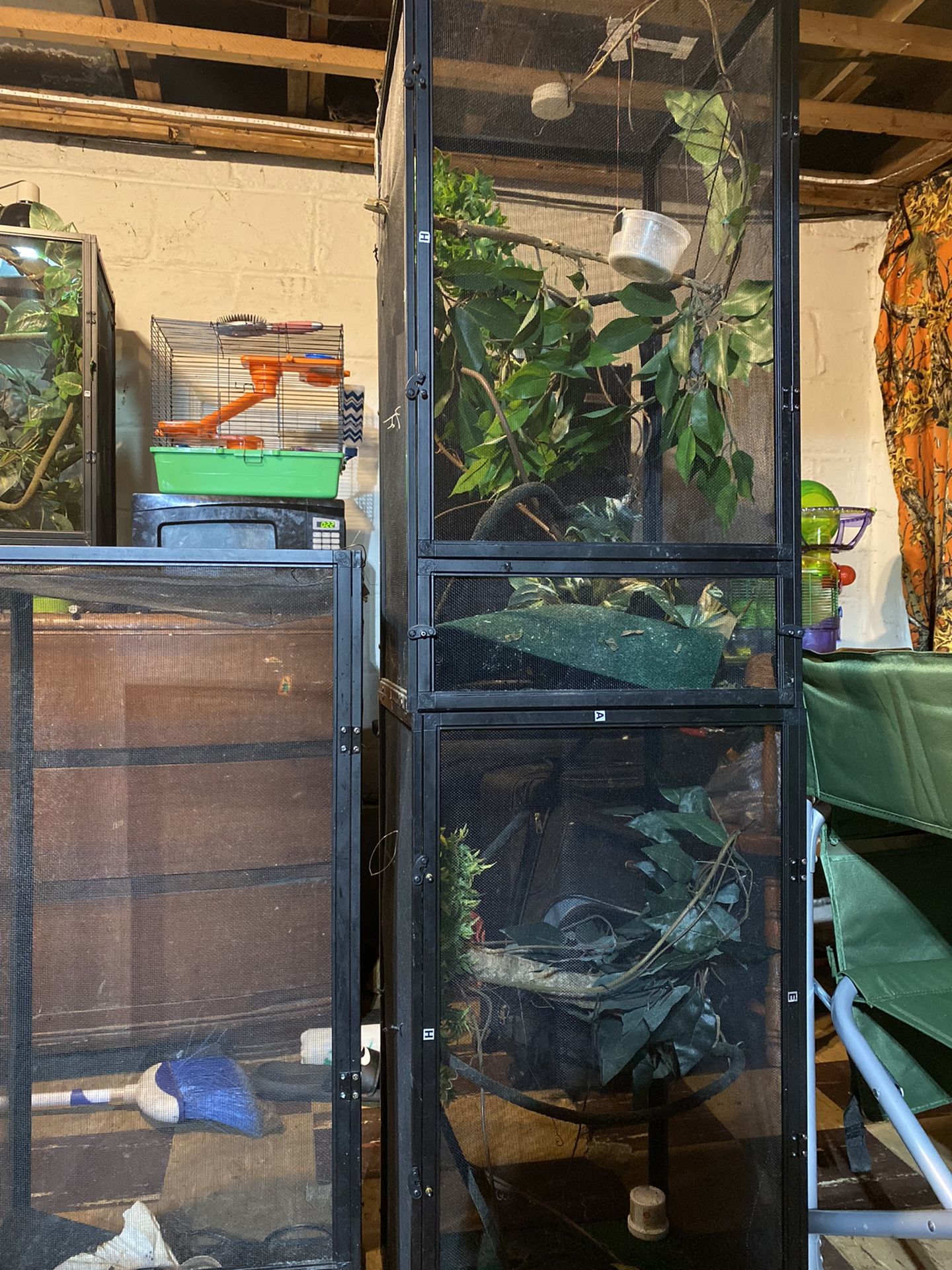 Chameleon Cage Setups
