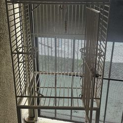 Bird Cage