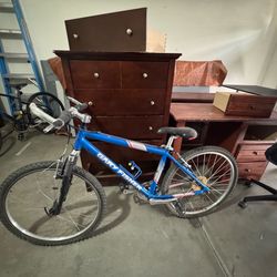 Gary Fisher and Fuji mountain bikes